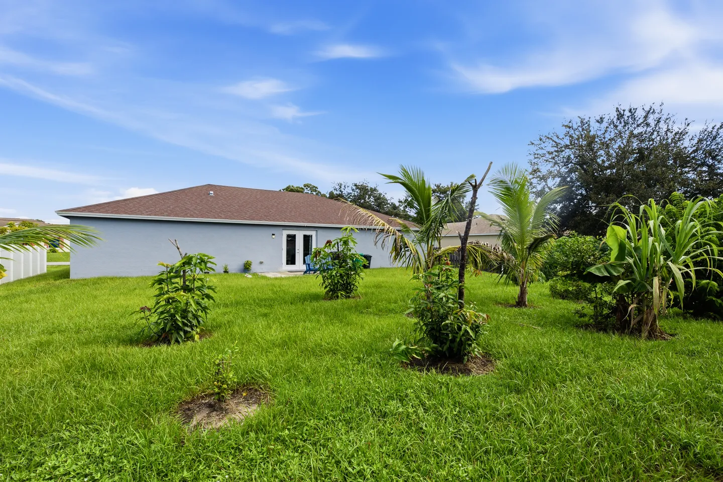Rear exterior view of a single-story house featuring a spacious green lawn, young palm trees, and clear blue skies with light clouds.