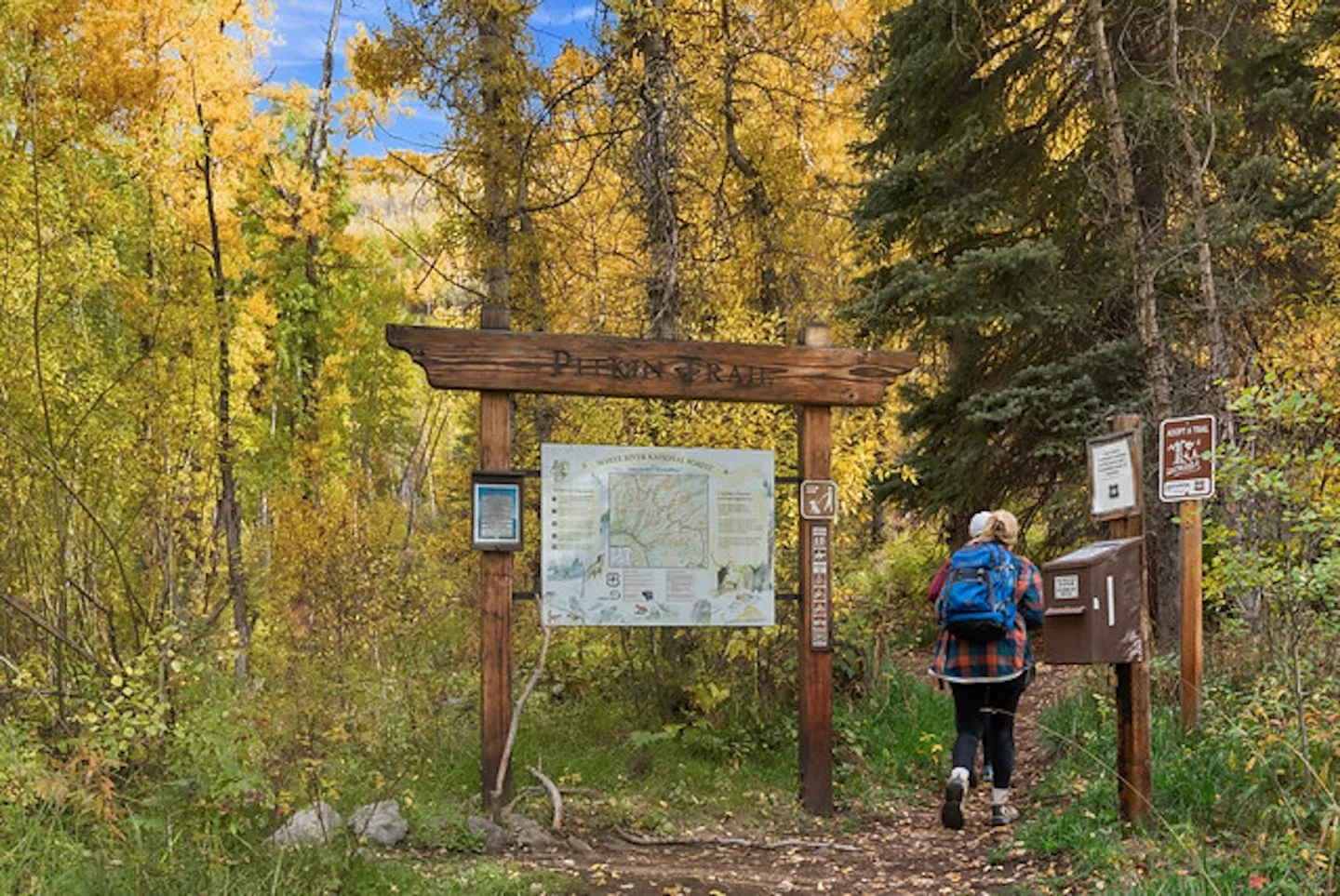 A hiker with a backpack walking past a wooden trailhead sign for Pitkin Trail surrounded by golden autumn aspen trees.