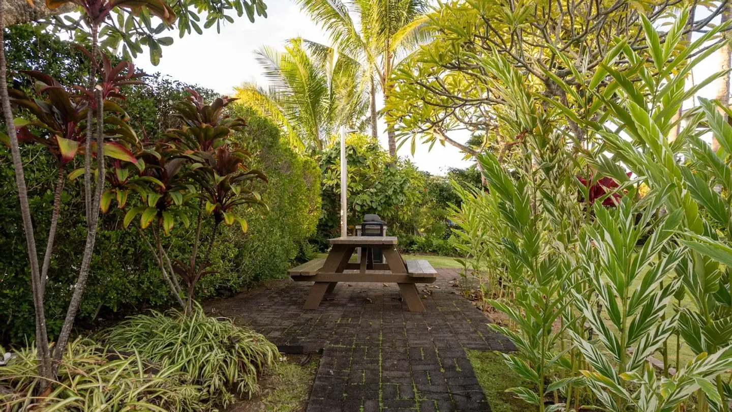 Home photo 9