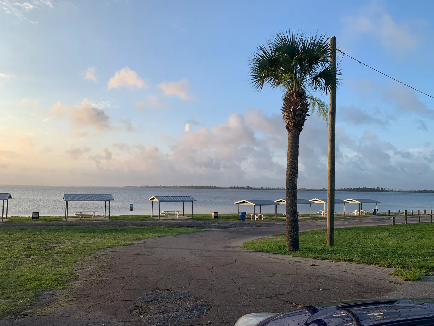 A waterfront park area with covered picnic pavilions along the water, a paved path, grass, and a palm tree under a morning sky.