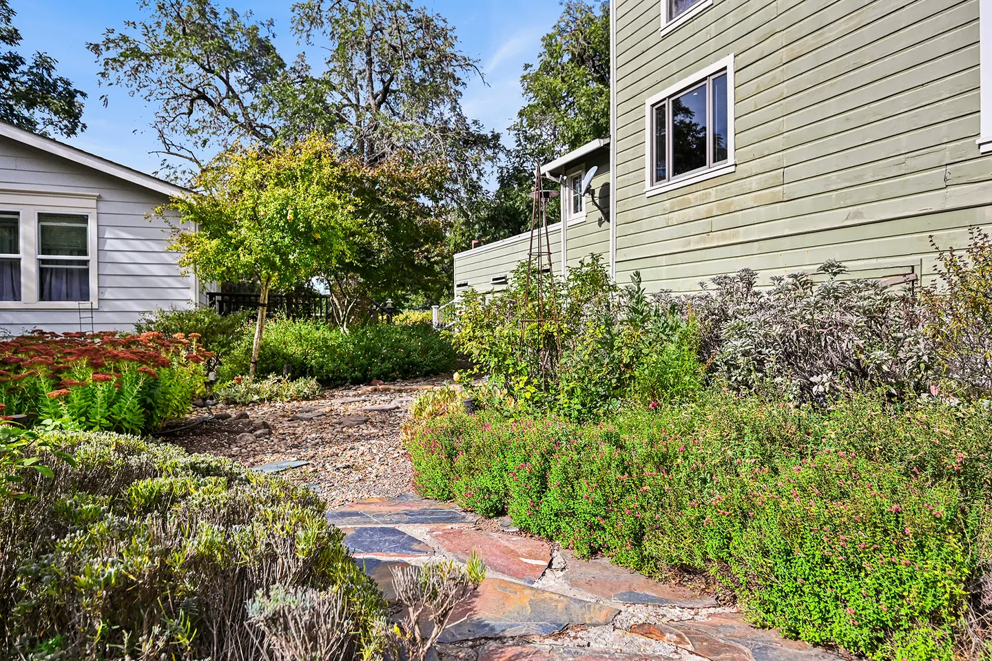 A stone and gravel pathway winds through lush bushes and flowering plants beside a multi-story green sided house.