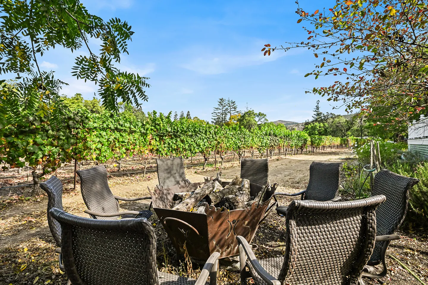 Outdoor fire pit surrounded by woven armchairs next to a vineyard under a blue sky.