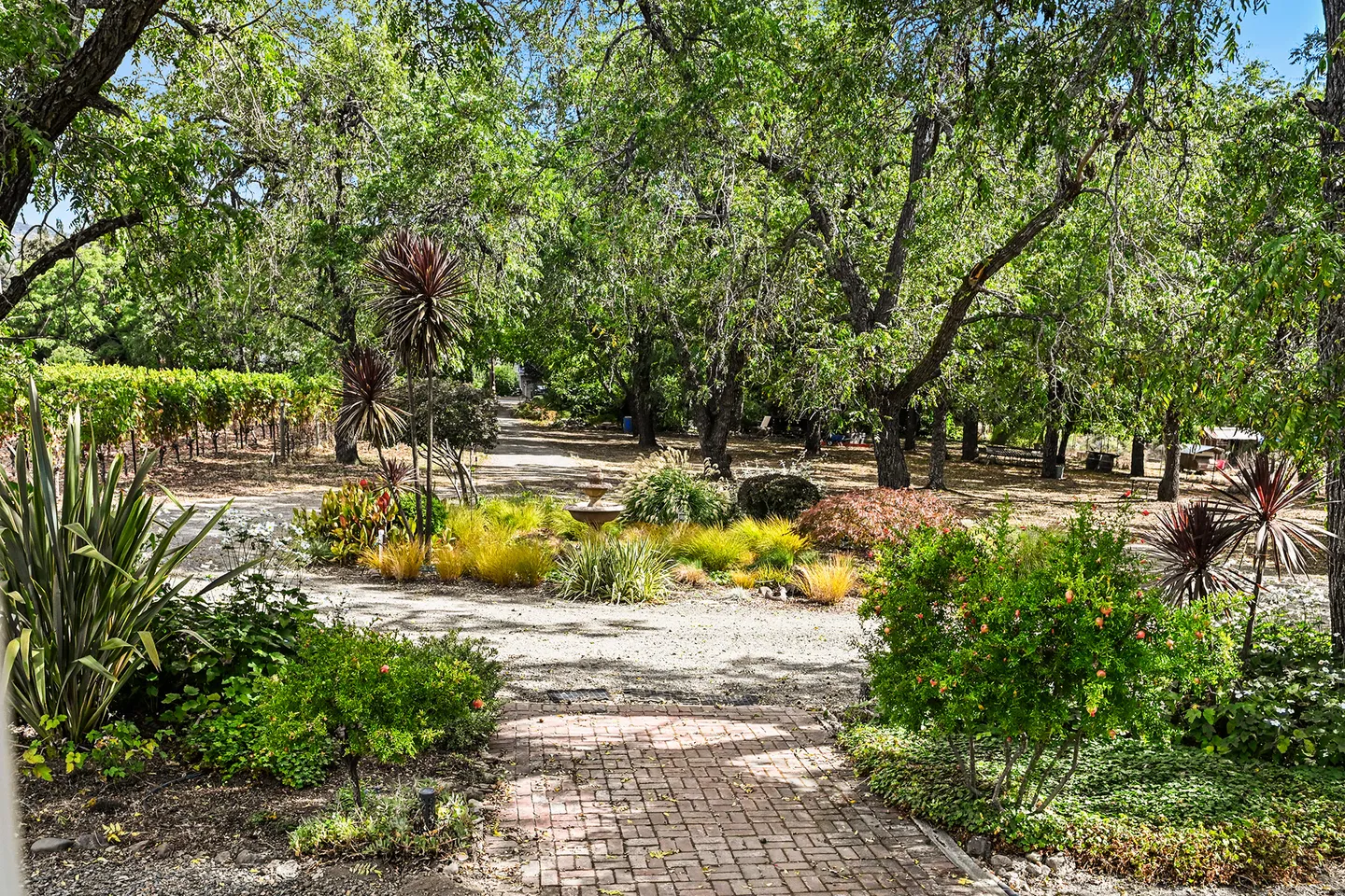A brick walkway leading into a sunlit garden and gravel driveway surrounded by mature trees, ornamental grasses, and vineyard rows.