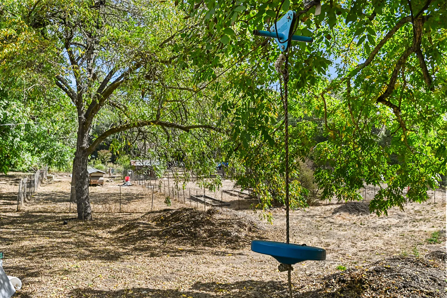 A tree swing with a blue disc seat hanging from a branch in a rustic, fenced outdoor yard.