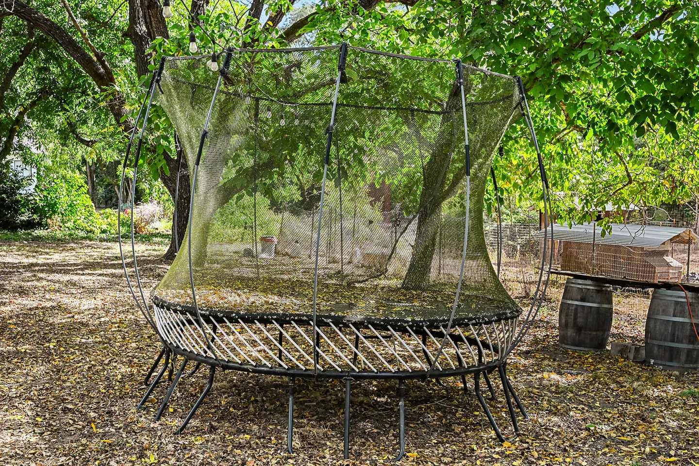 A springless trampoline with a safety enclosure net set up in a shaded yard covered in fallen leaves.