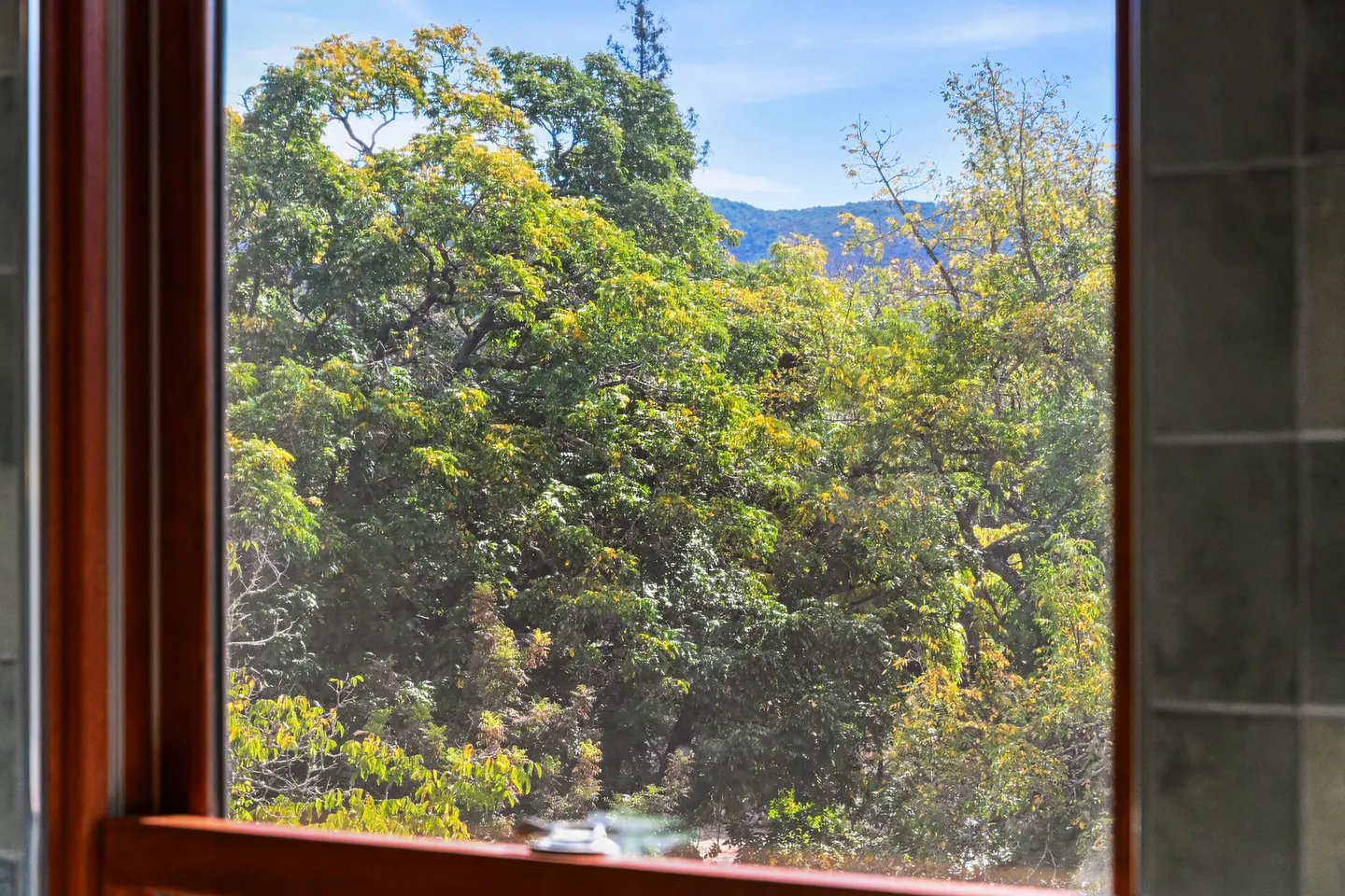 A view through a wooden window frame looking out at lush green trees and distant hills under a blue sky.