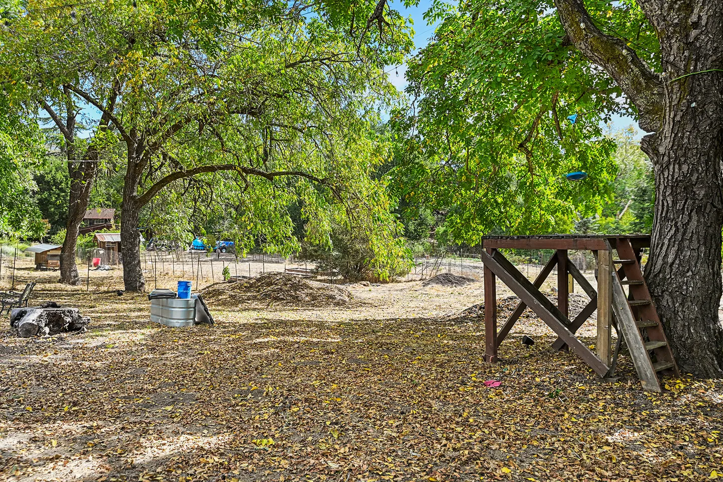 A rustic yard with mature trees, a wooden platform with ladder, and leaf-covered ground under a bright blue sky.