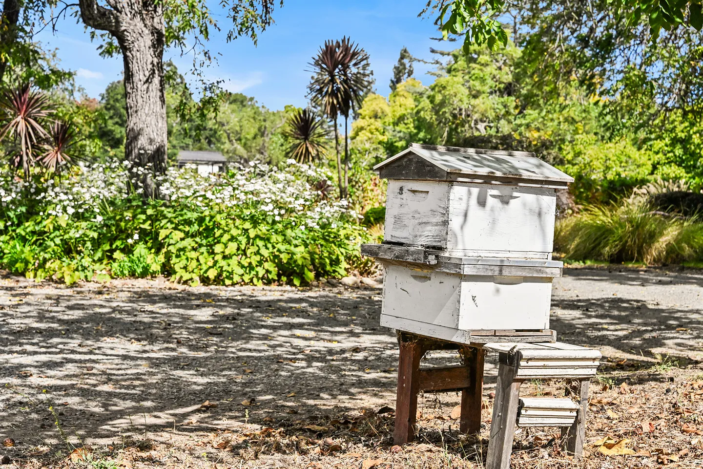 A white wooden beehive structure on a stand in a garden surrounded by trees and blooming white flowers under a clear blue sky.