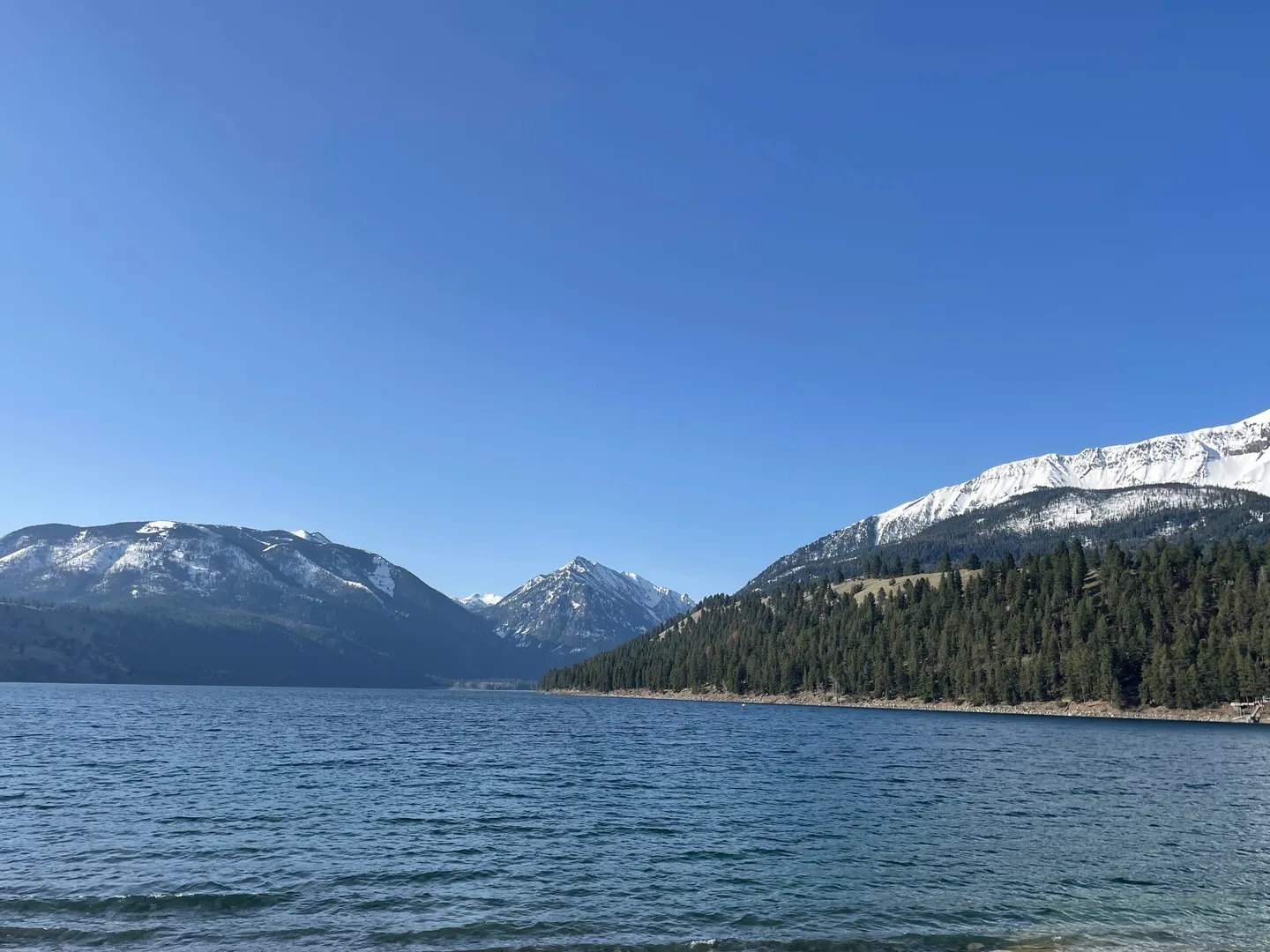 Wide view of a large blue lake surrounded by forested shores and snow-dusted mountains under a clear sky.