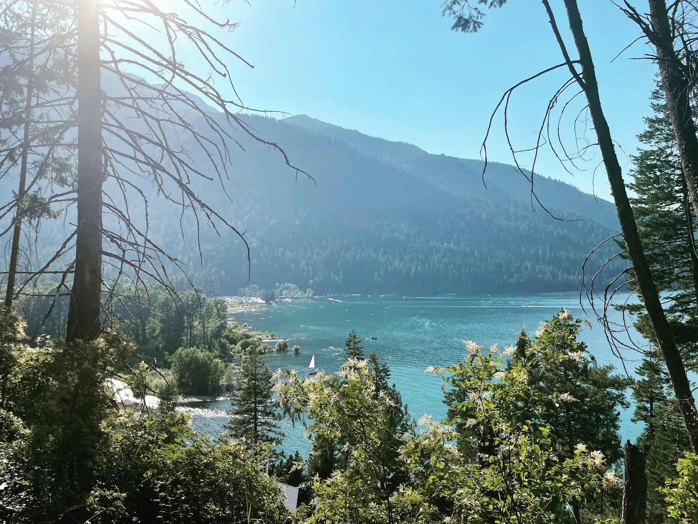 Elevated scenic view of a wide blue lake surrounded by mountains and evergreen trees under a bright sunny sky.