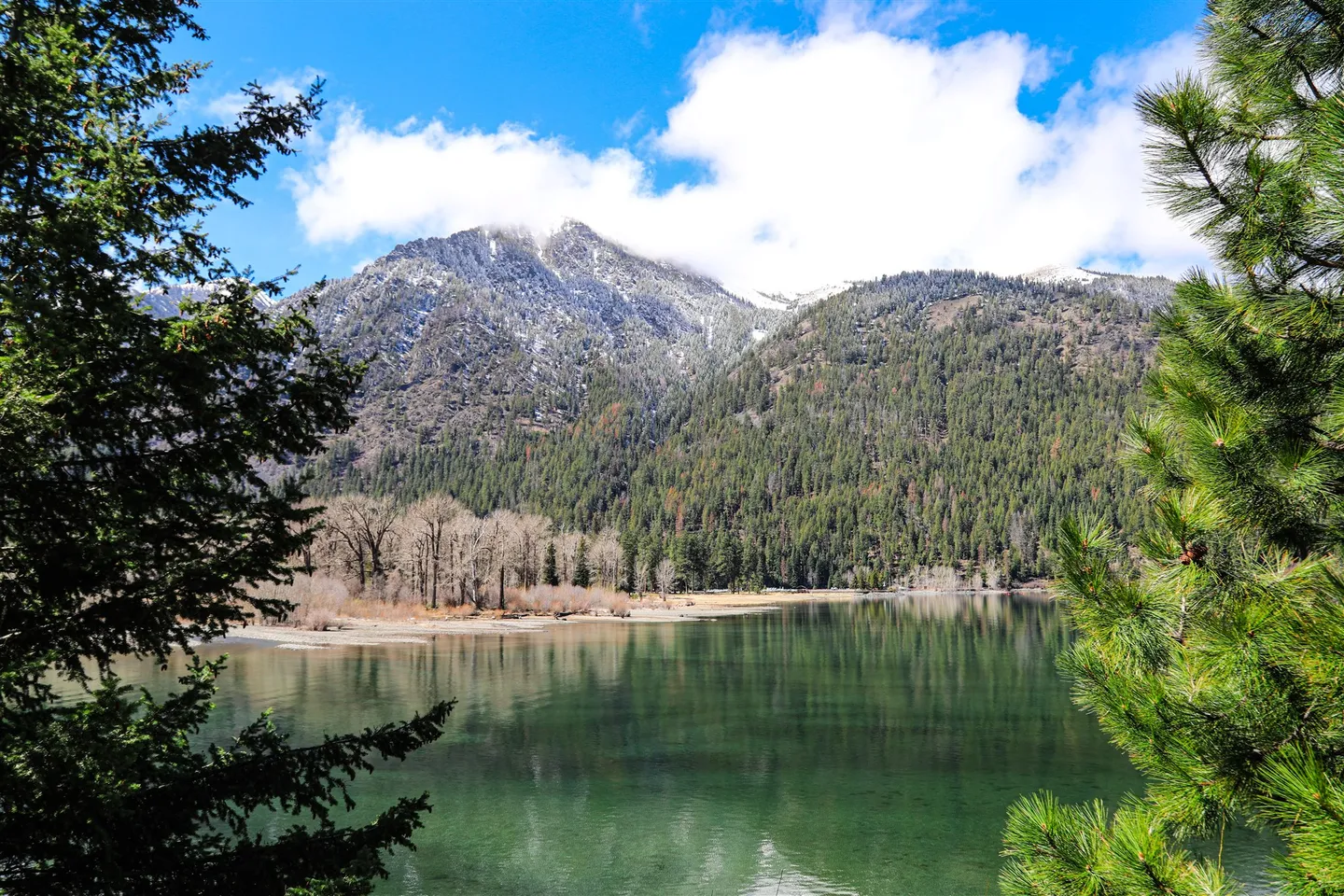 Scenic view of a calm mountain lake framed by pine branches, with forested mountains and snow-dusted peaks under a partly cloudy blue sky.