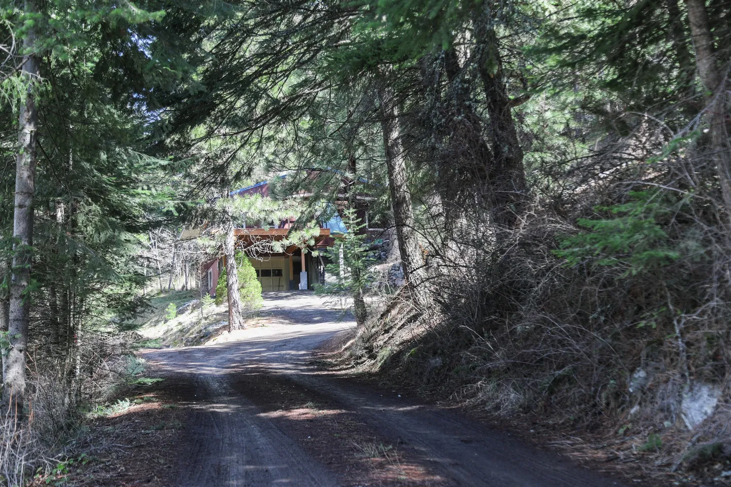 A dirt driveway winding through a dense forest toward a multi-story cabin partially visible through the trees.
