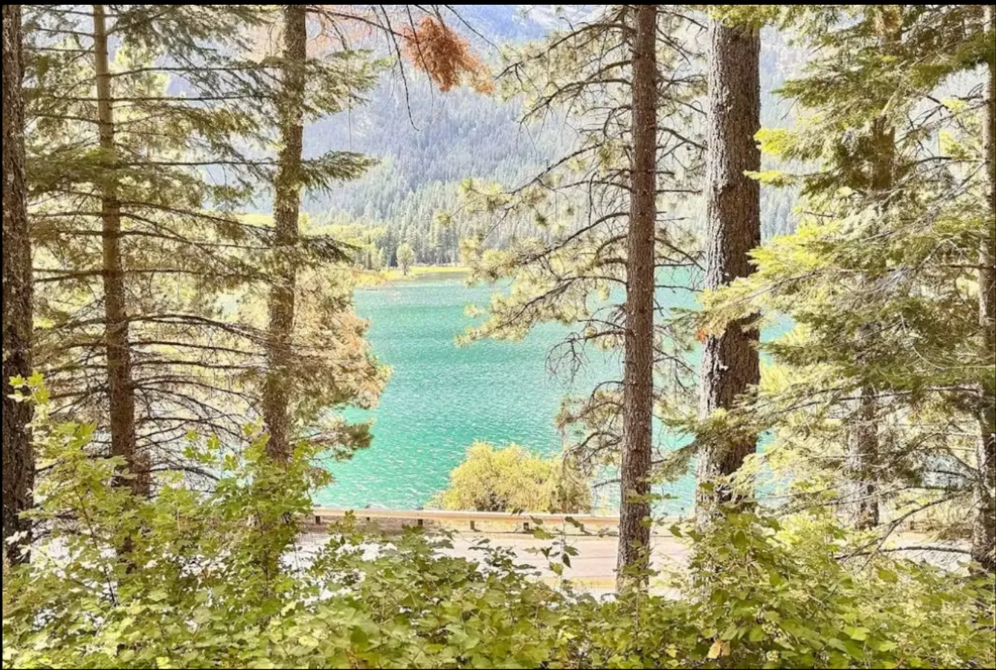 A view of a turquoise lake framed by pine trees and green foliage with a road visible below.