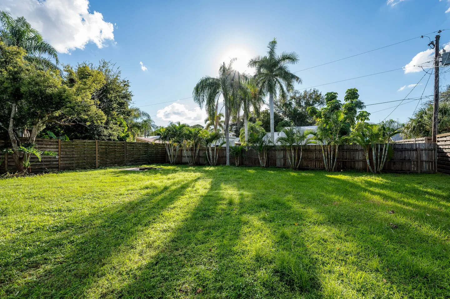 A wide, grassy backyard enclosed by a wooden privacy fence and surrounded by palm trees under a bright blue sky.