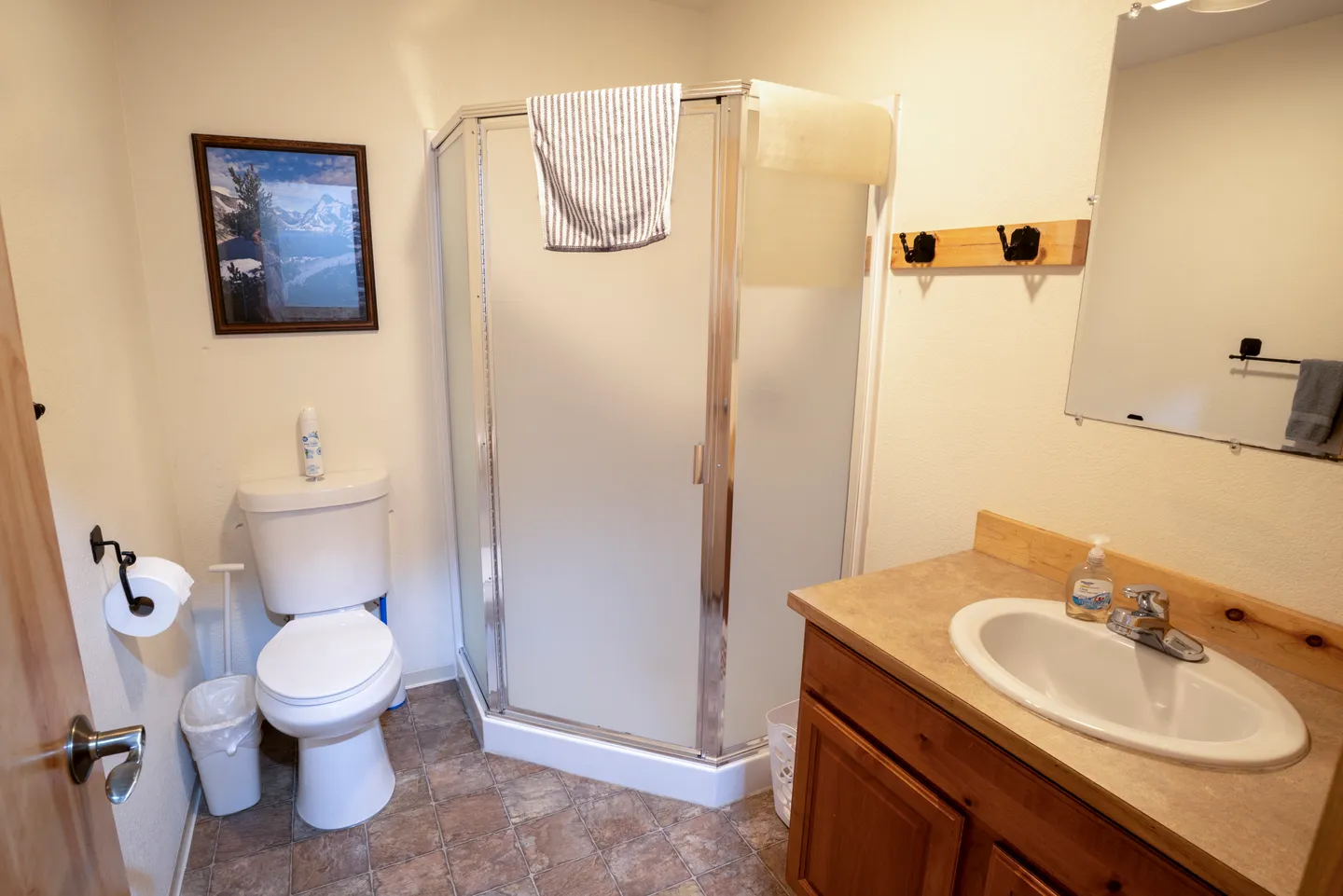 Bathroom with a corner shower stall with frosted glass, a toilet, and a vanity with a sink.