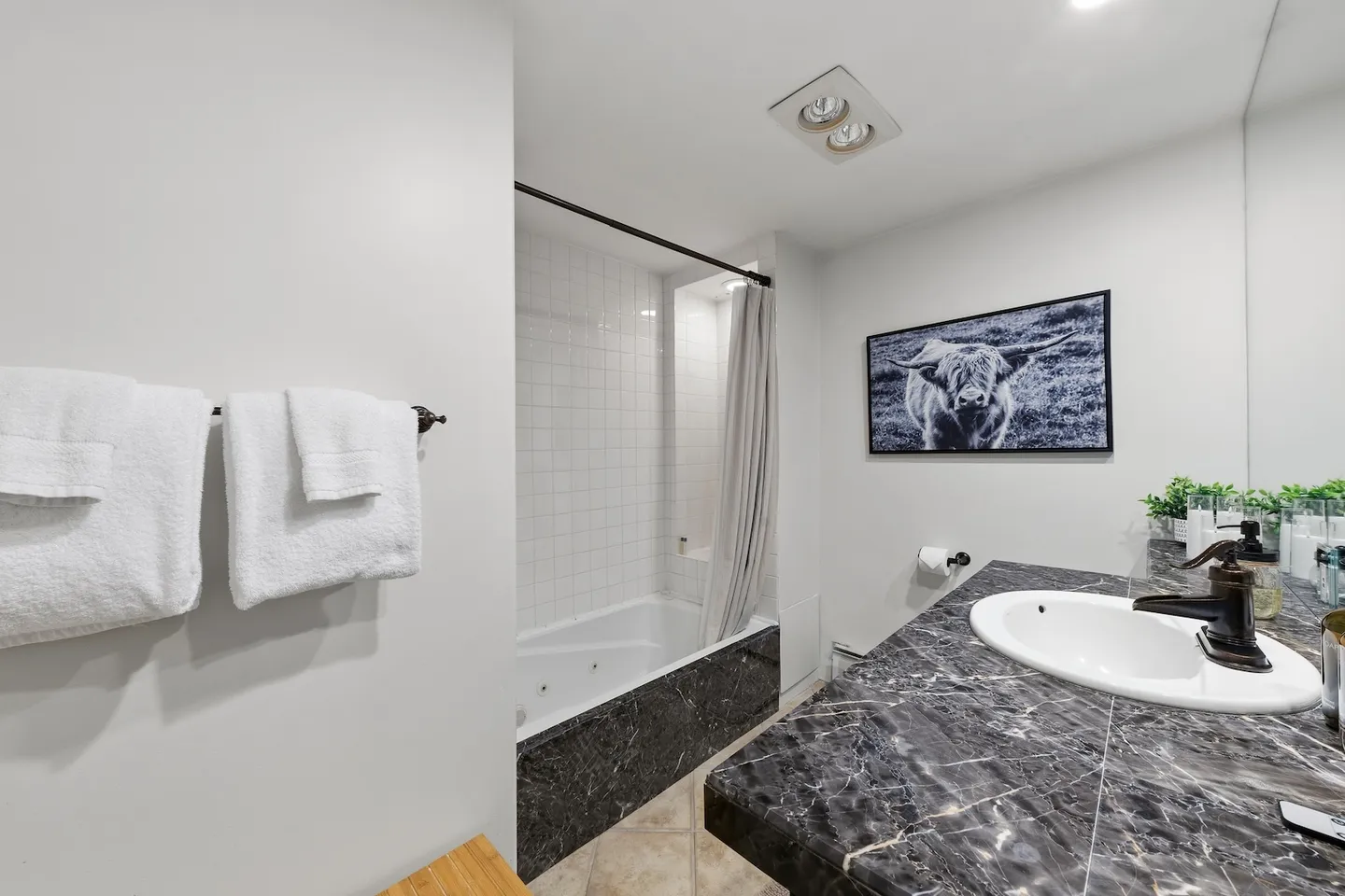 Bathroom featuring a dark marble vanity, white sink, framed animal art, and a jet tub shower combination with dark tile front.
