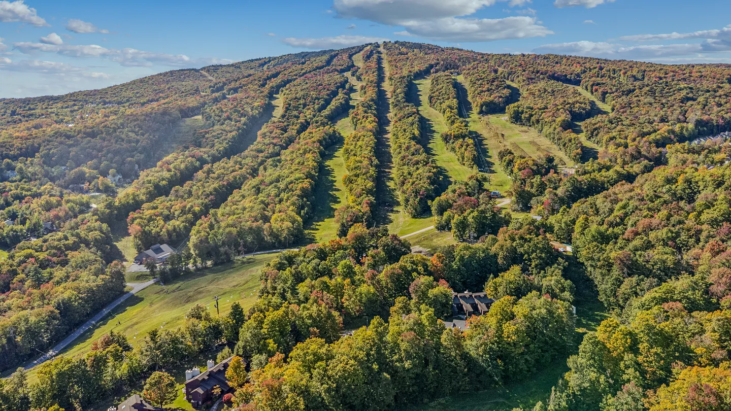 Aerial view of a forested ski mountain with clear-cut slopes under a blue sky with light clouds.