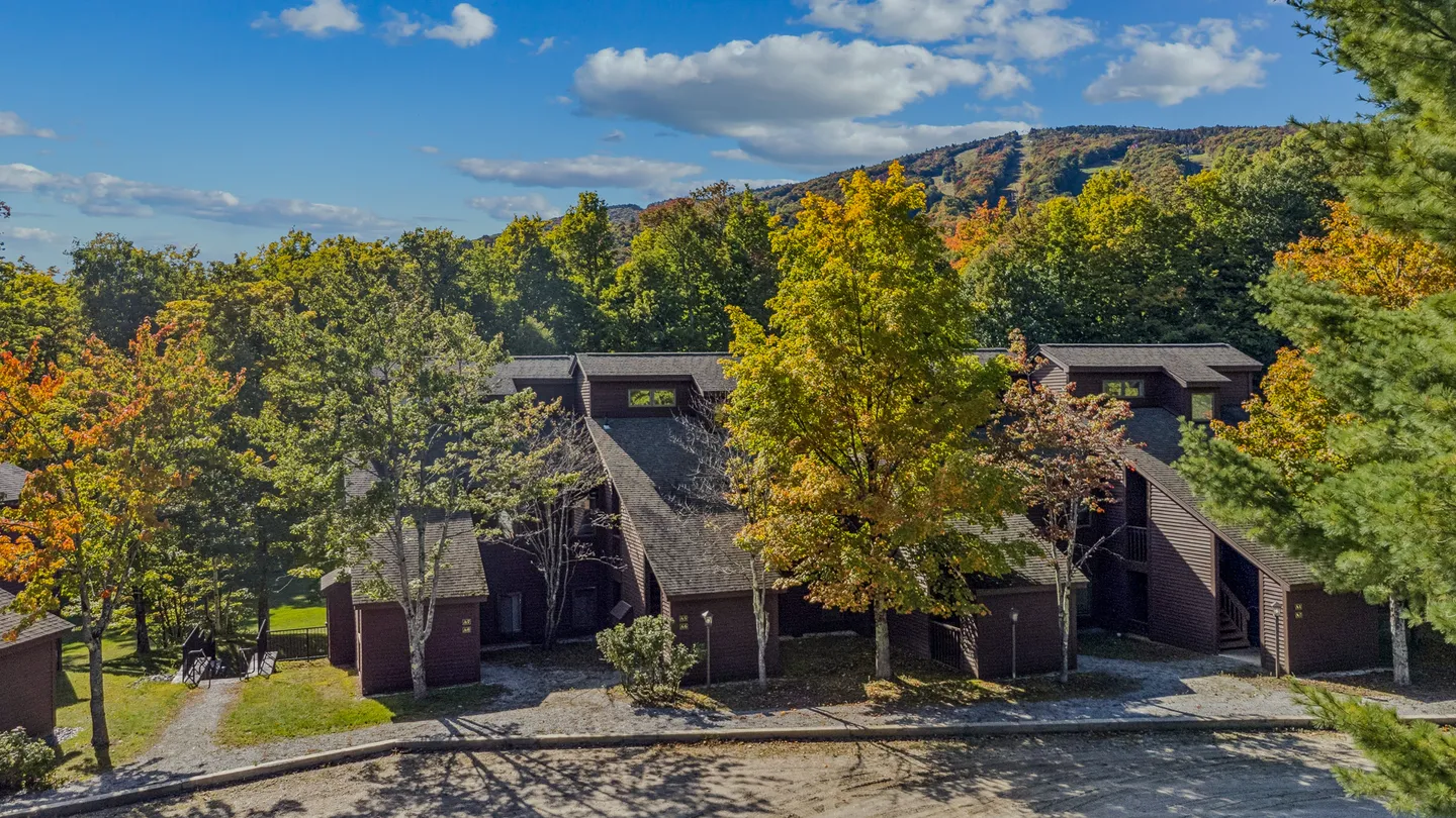 Exterior view of multi-level dark brown residential buildings surrounded by autumn trees with a mountain in the background.