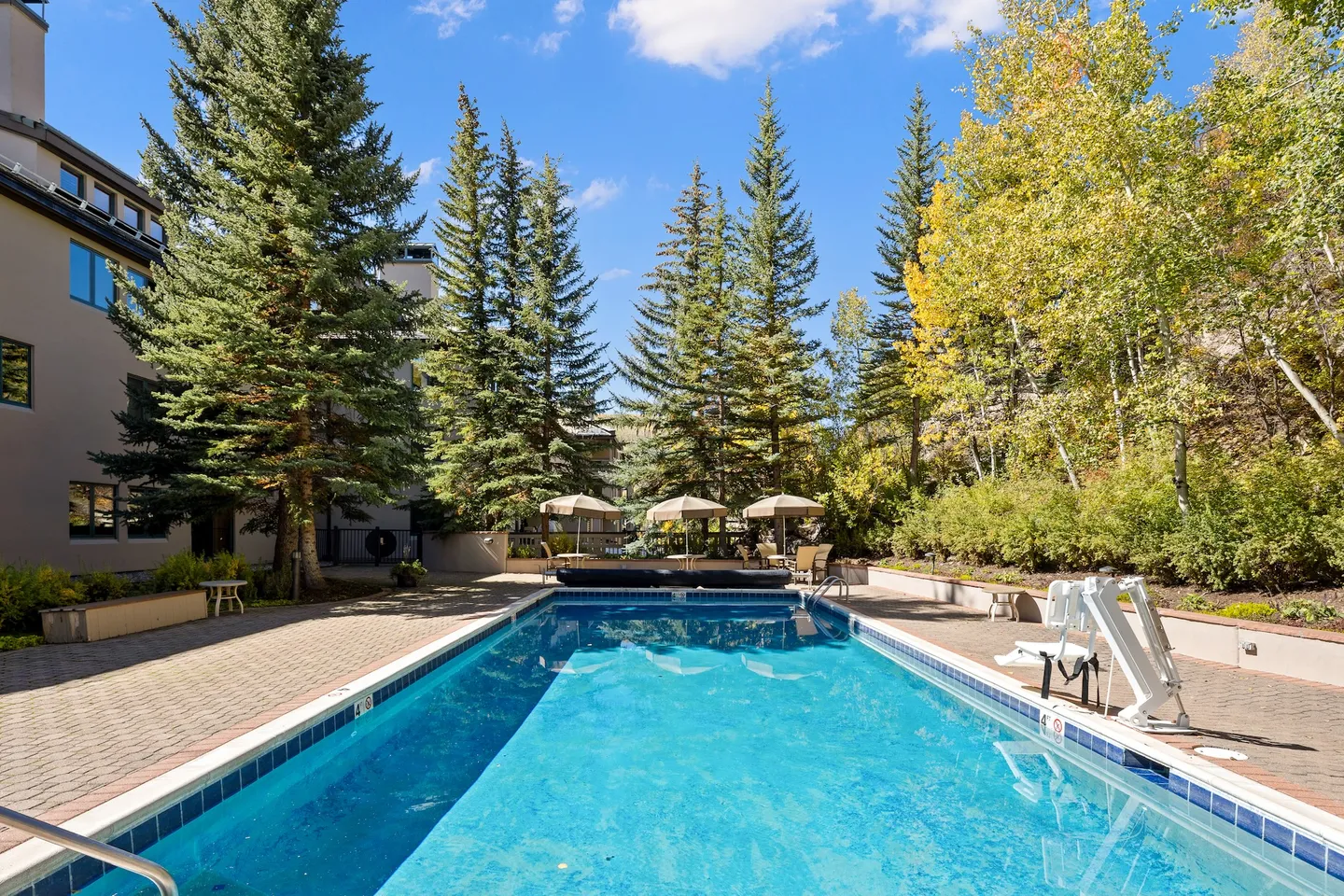 Outdoor rectangular swimming pool surrounded by a brick paver patio, tall pine trees, and deciduous trees under a clear blue sky.