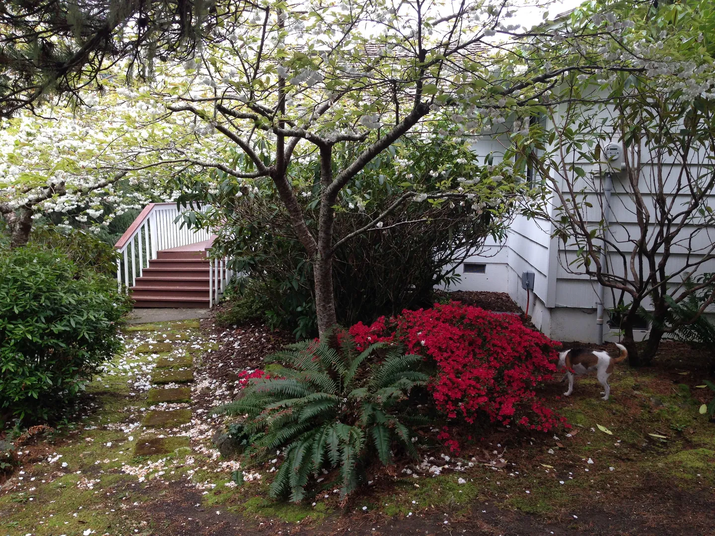 Home photo 22