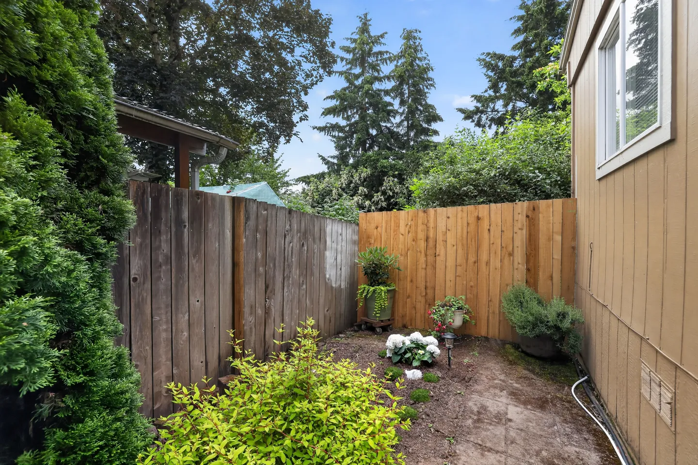 Home photo 12