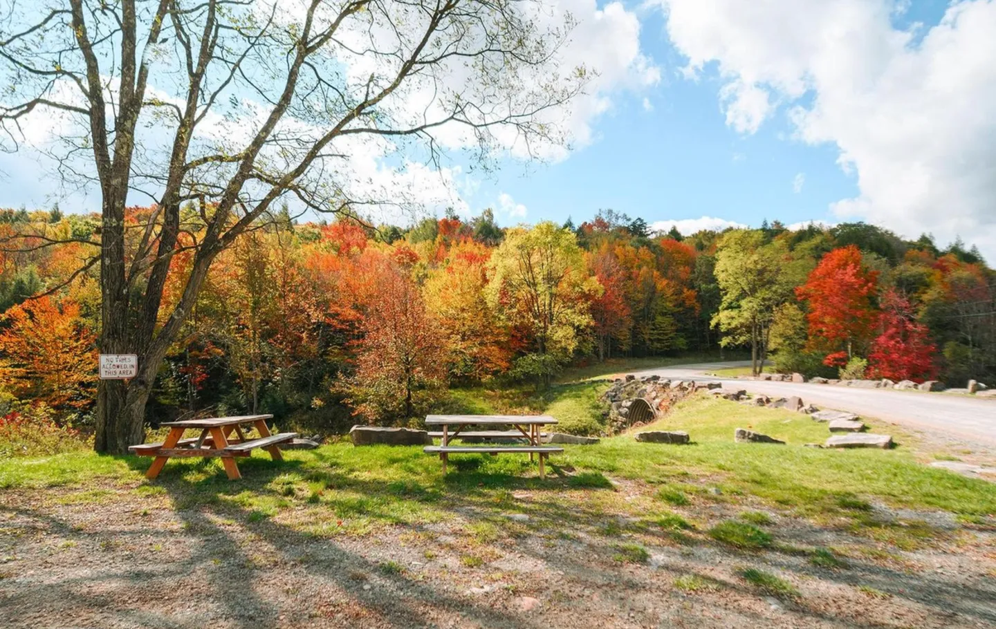 Outdoor picnic area with two wooden picnic tables, a large tree, and vibrant autumn foliage surrounding a paved road and stone bridge.