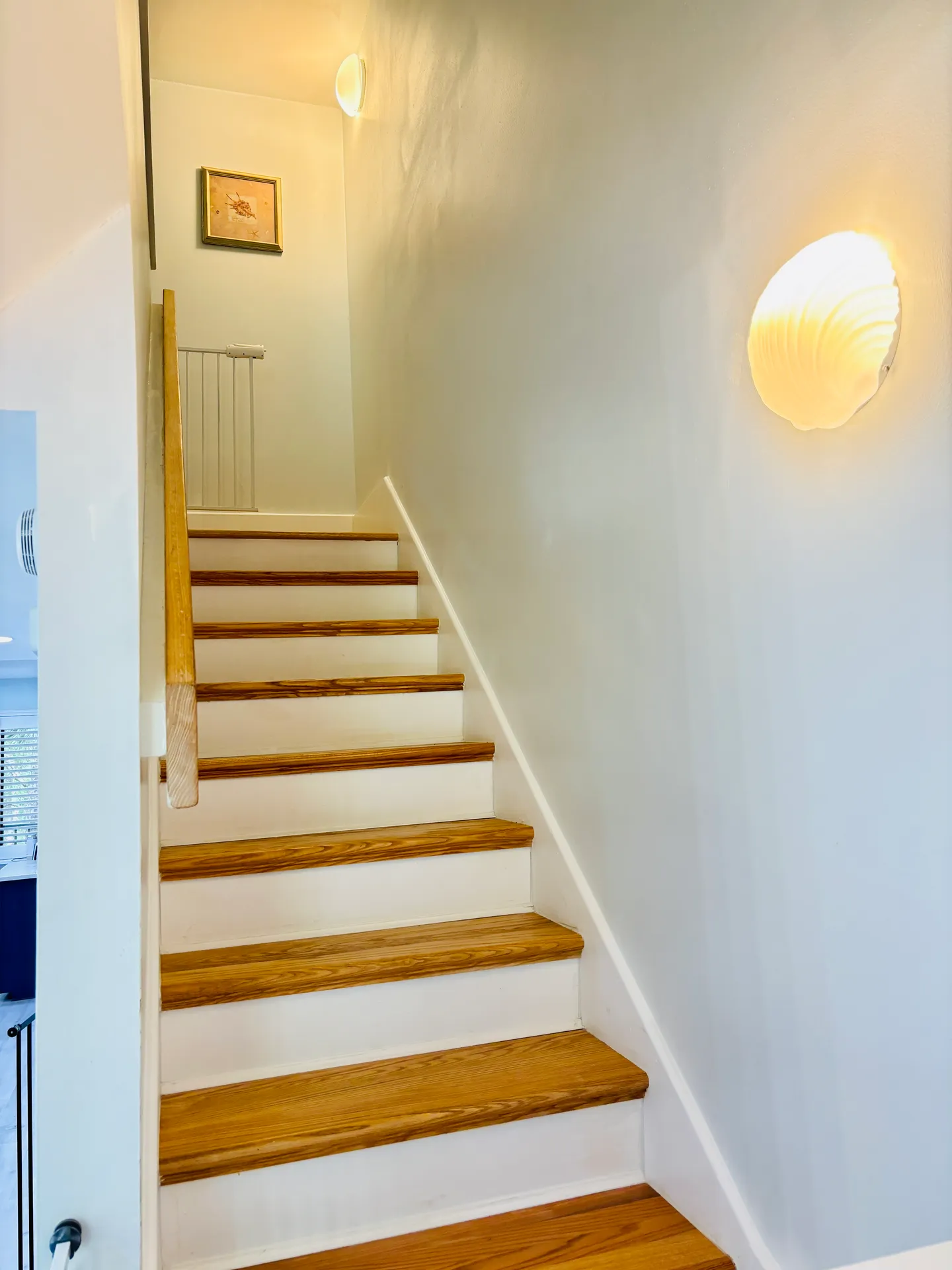 Home photo 20