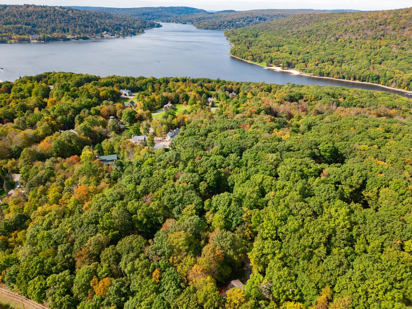 Aerial view of a dense, green forest with scattered homes leading toward a wide lake bordered by hills.