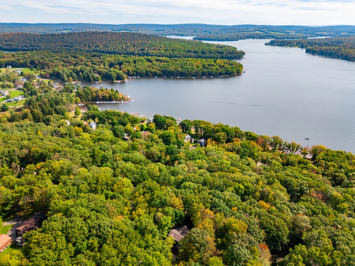 Aerial view of a large lake surrounded by dense green forest with distant hills under a blue sky.