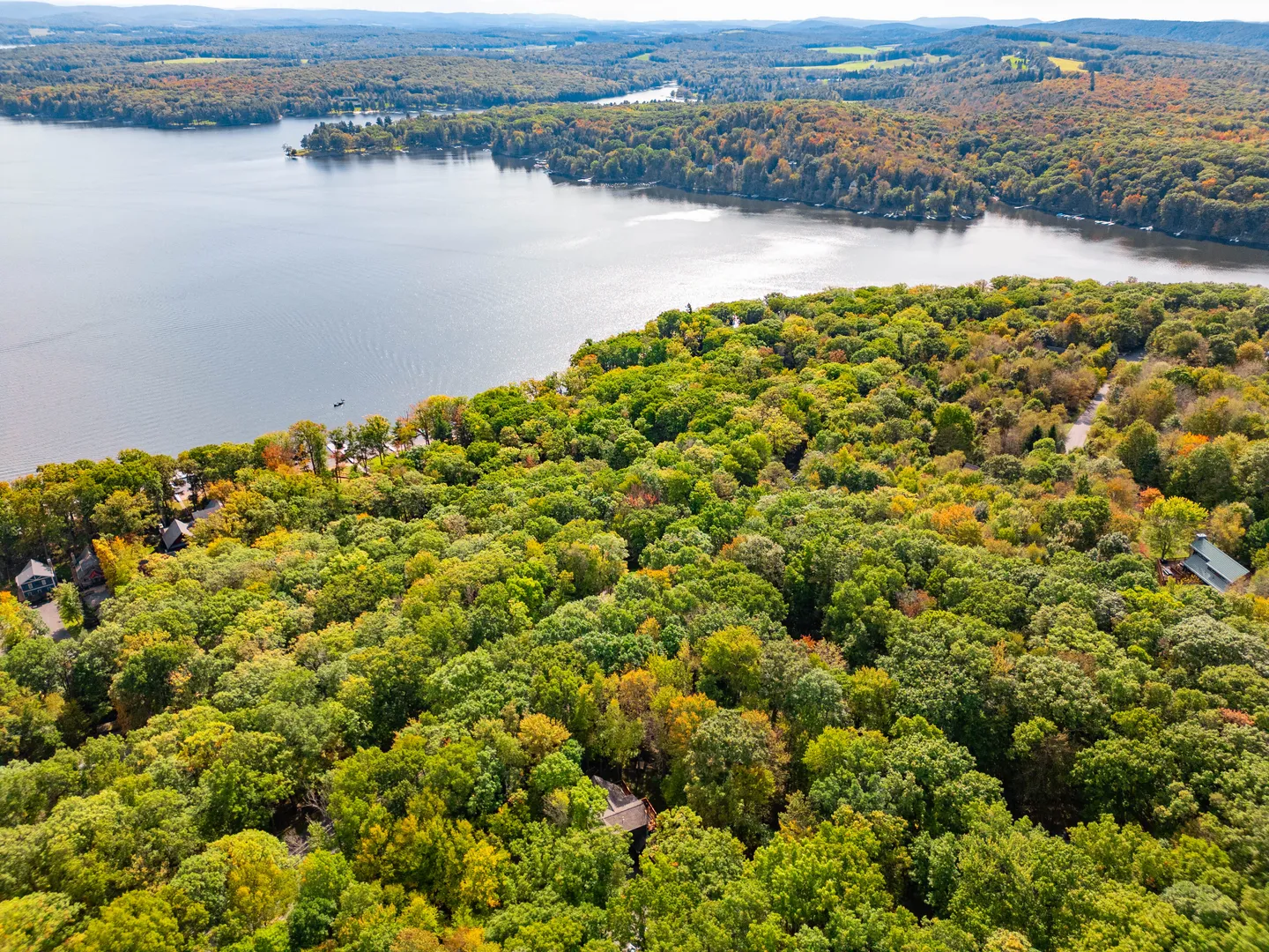 Aerial view of a dense forest with autumn foliage bordering a large lake on a sunny day.