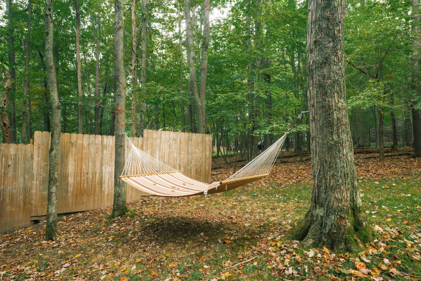 A striped fabric hammock suspended between two trees in a wooded yard beside a wooden fence.