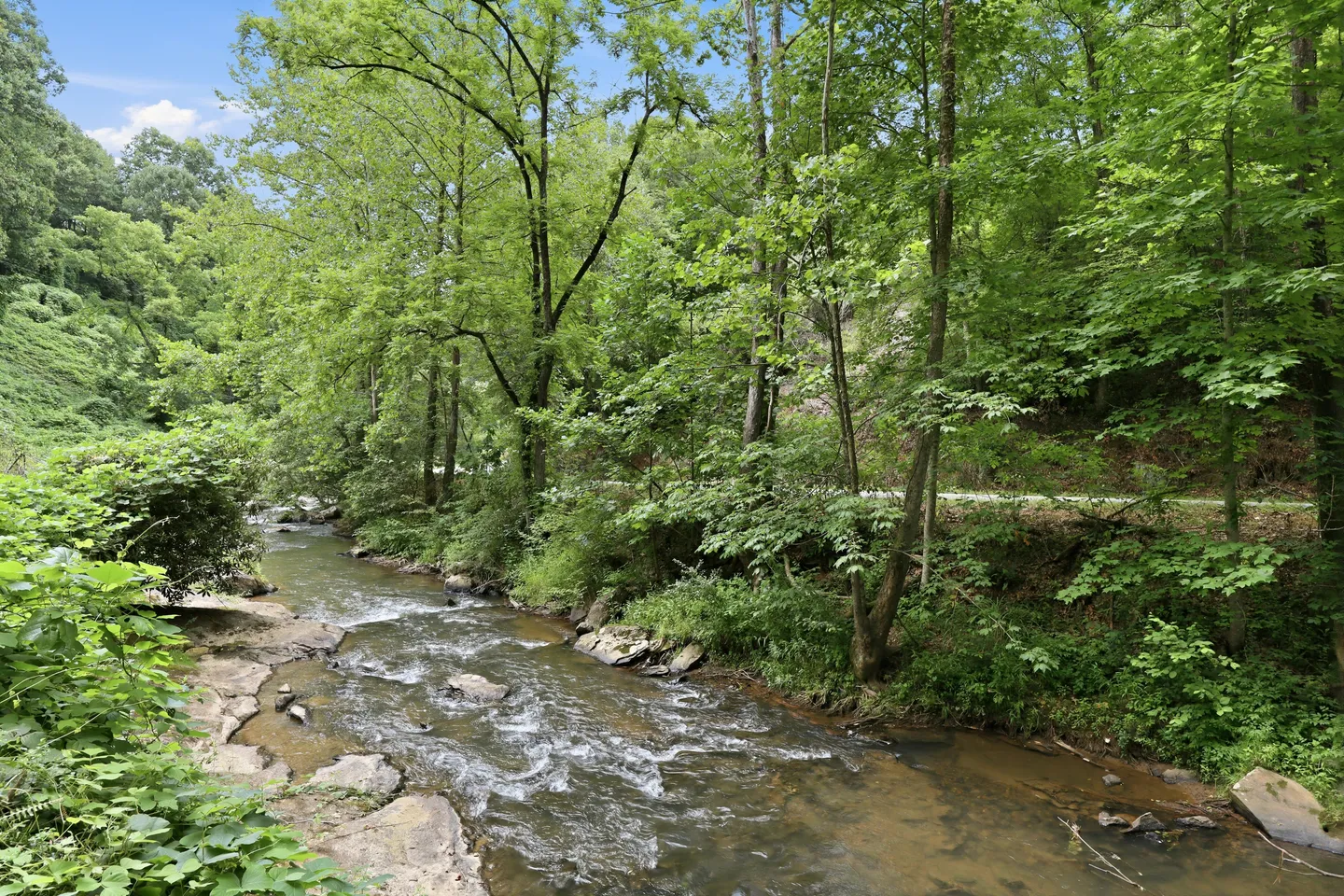 A flowing shallow rocky creek bordered by dense green trees and foliage under a partly cloudy sky.