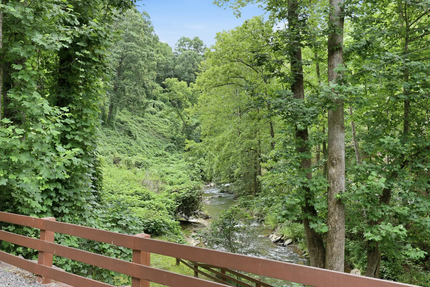 A view of a flowing creek surrounded by lush green trees and foliage, seen from behind a brown wooden railing.