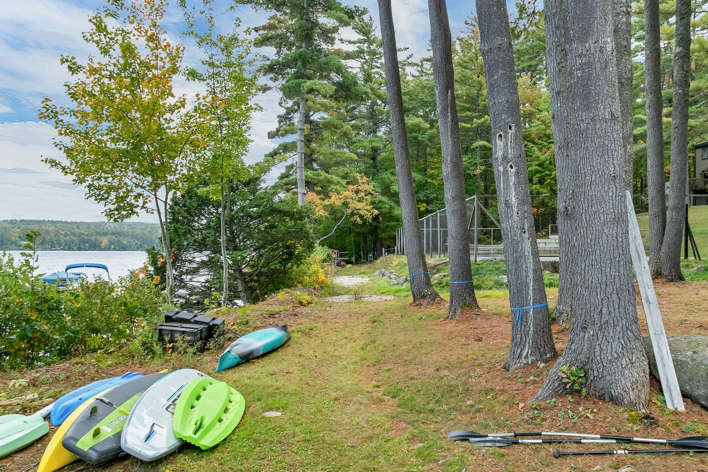 Lakeshore property grounds featuring tall pine trees, kayaks, paddleboards, and a view of the water.