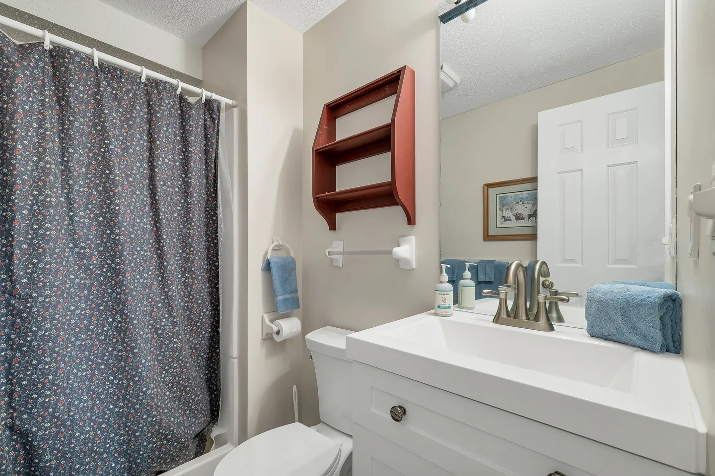 Bathroom showing a white vanity with brushed nickel faucet, toilet, red wall shelf, and patterned shower curtain.