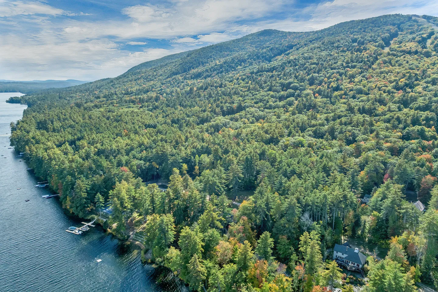 Aerial view of a lakefront shoreline, dense forest, and mountain under a partly cloudy sky.