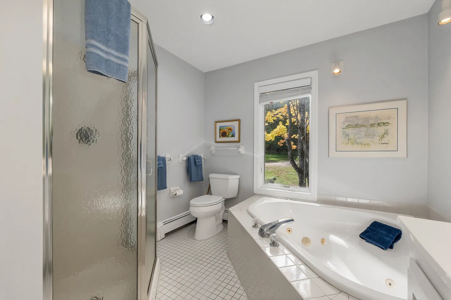 Bathroom with a large jetted soaking tub, walk-in frosted glass shower, and a toilet next to a window showing outdoor foliage.