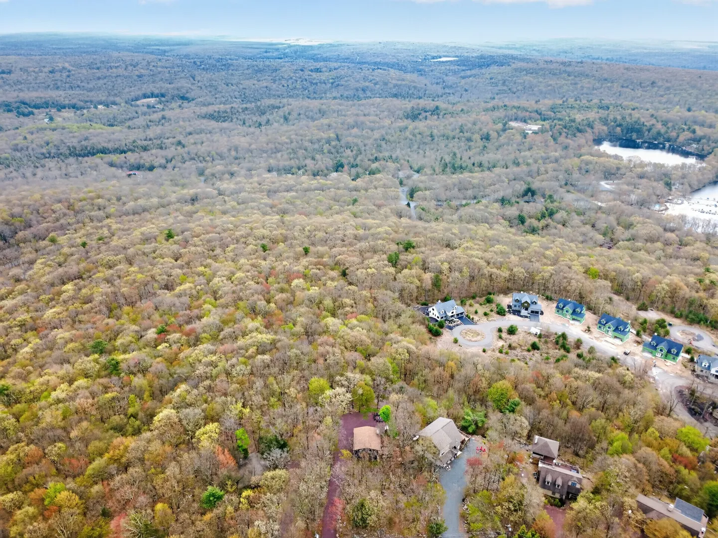 Aerial view of a residential neighborhood nestled in an expansive forest with rolling hills in the background.