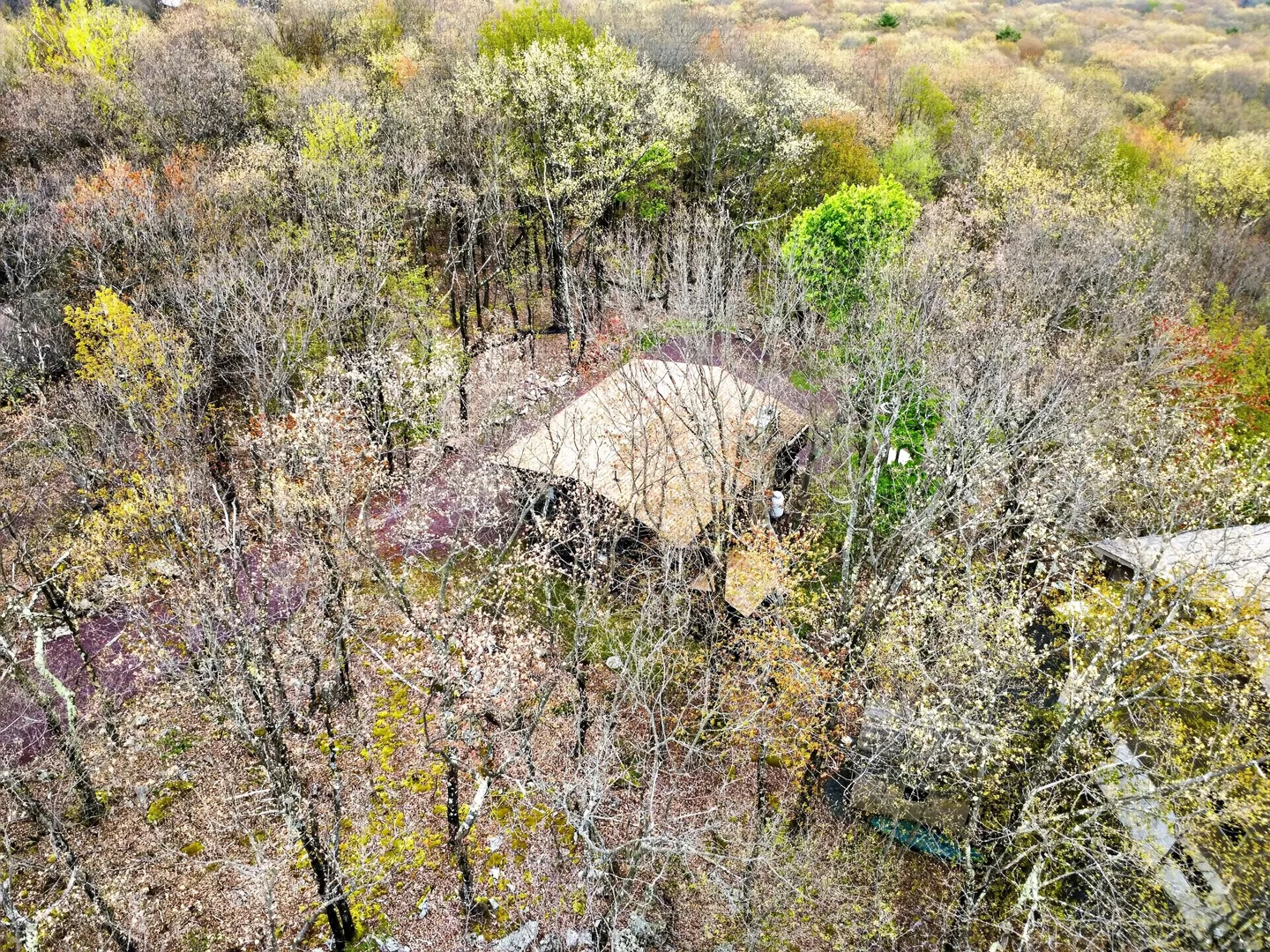 High-angle aerial view of a house nestled within a dense deciduous forest.