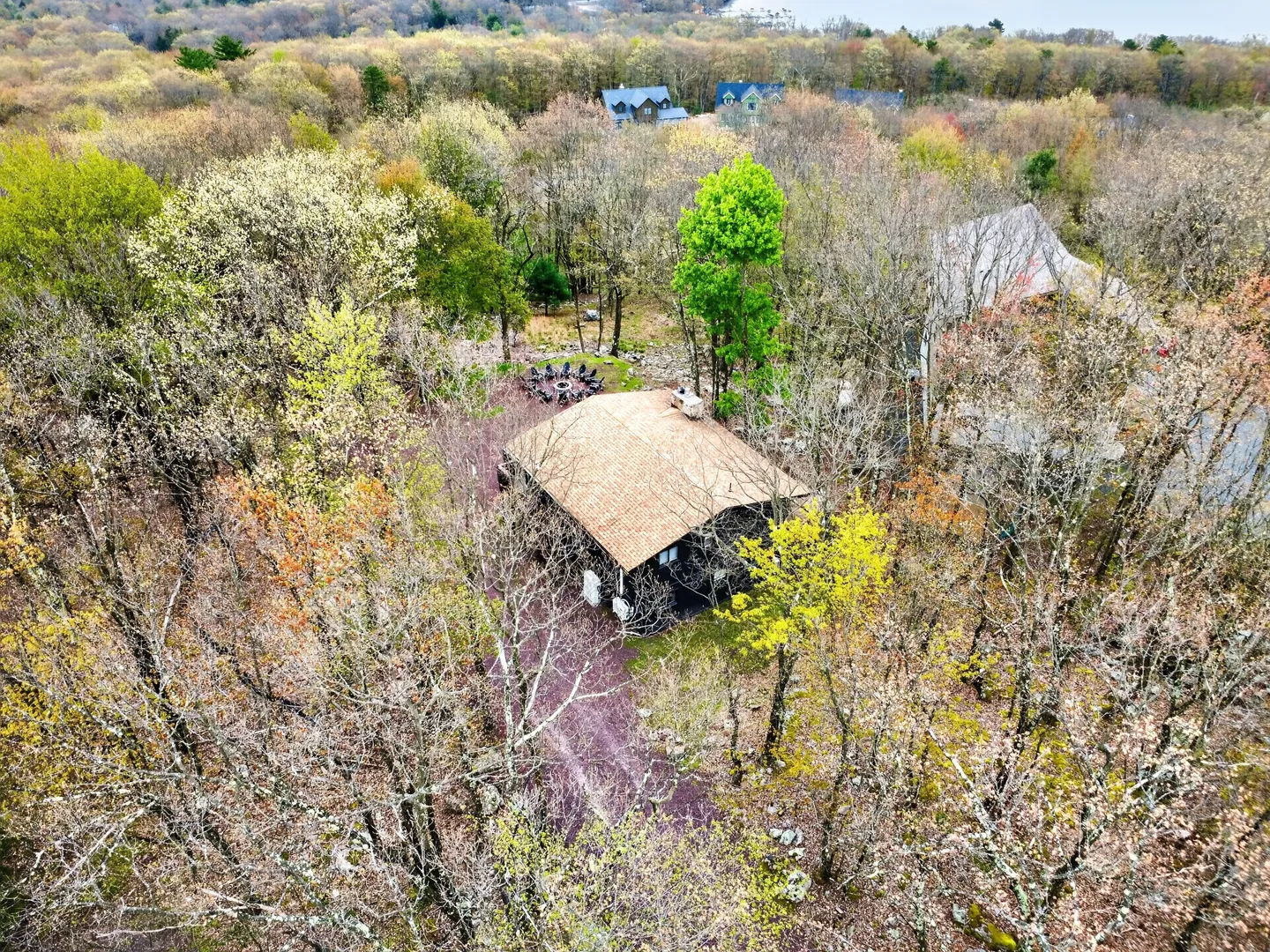 Aerial view of a secluded cabin nestled among dense woodland trees with a driveway and outdoor fire pit area.