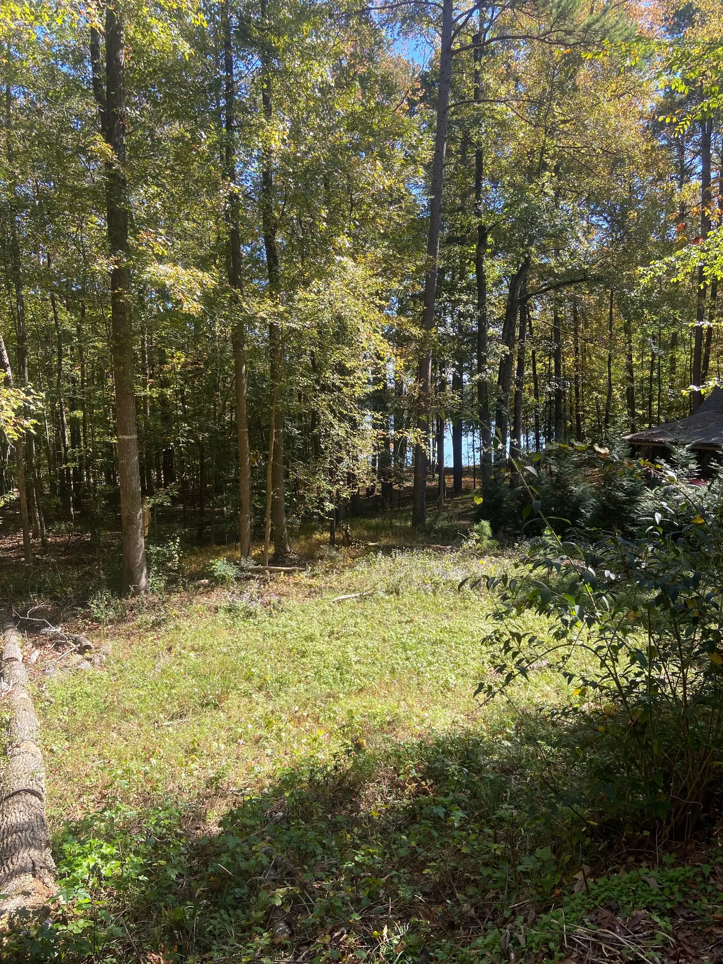 Home photo 5