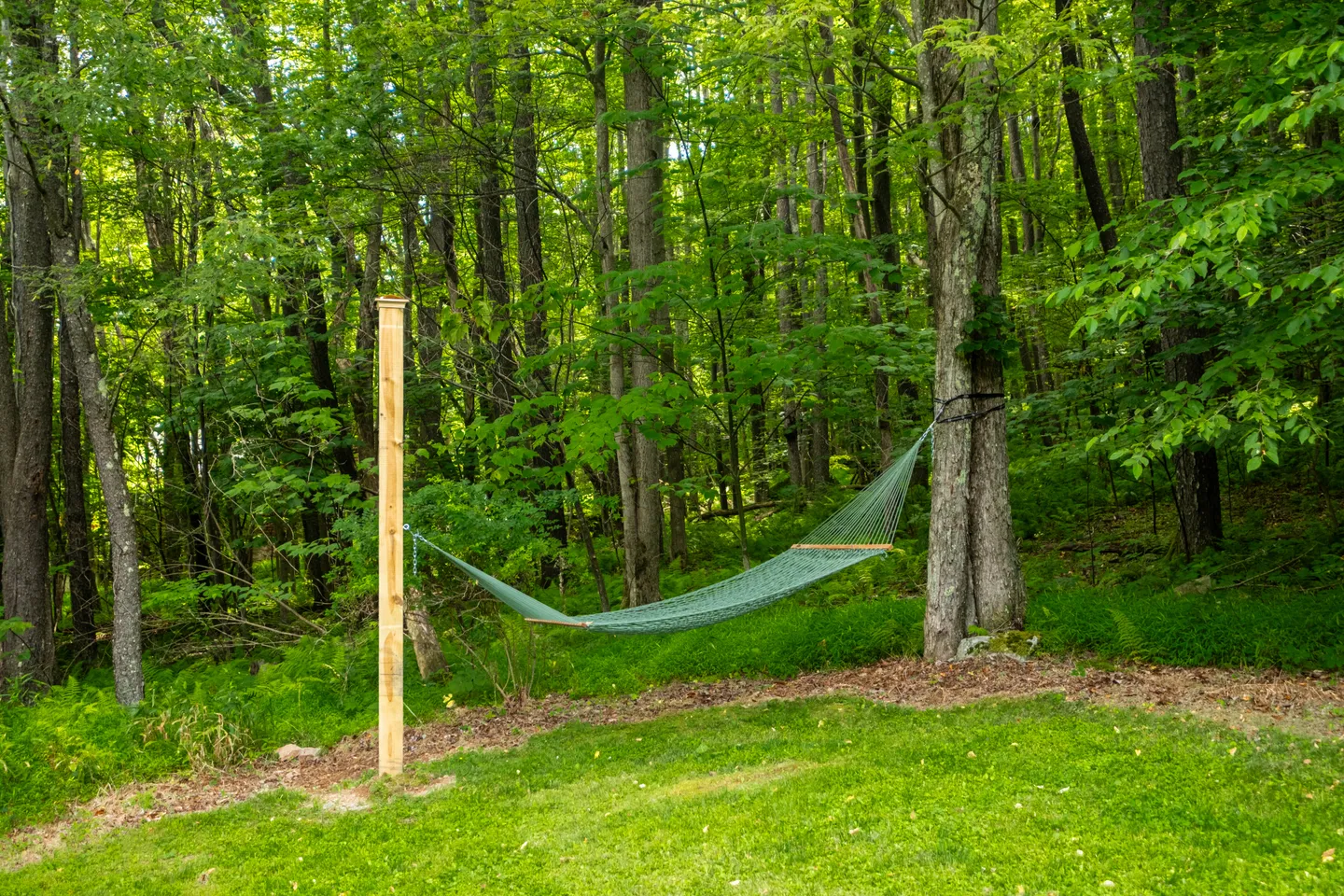 A rope hammock suspended between a wooden post and a large tree at the edge of a lush green forest.