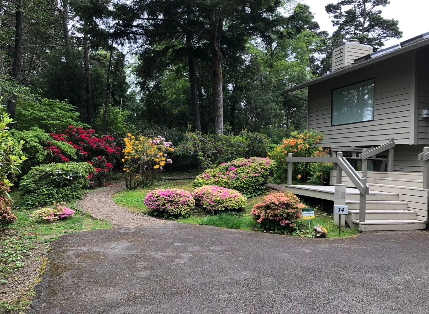 Exterior of a house with a wooden entrance deck, driveway, gravel path, and blooming flowering bushes.