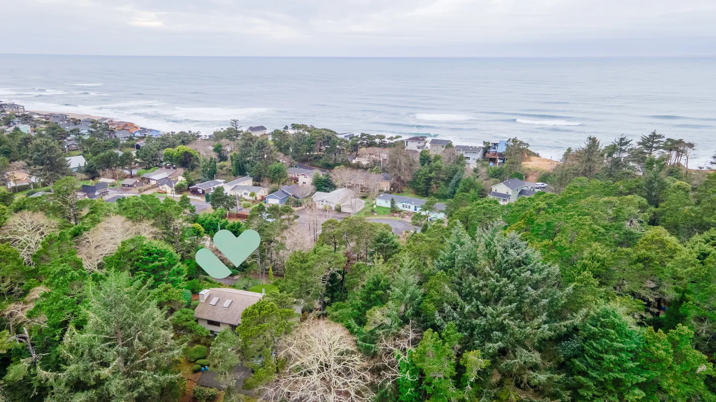 Aerial view of a coastal neighborhood with evergreen trees, houses, and the ocean under an overcast sky.