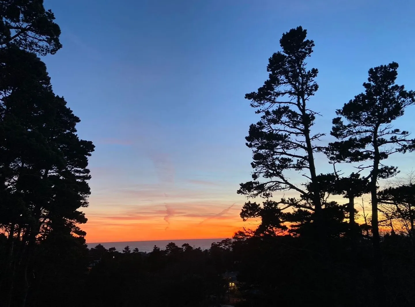 Sunset sky transitioning from orange to blue framed by silhouetted trees with a view of the ocean horizon.