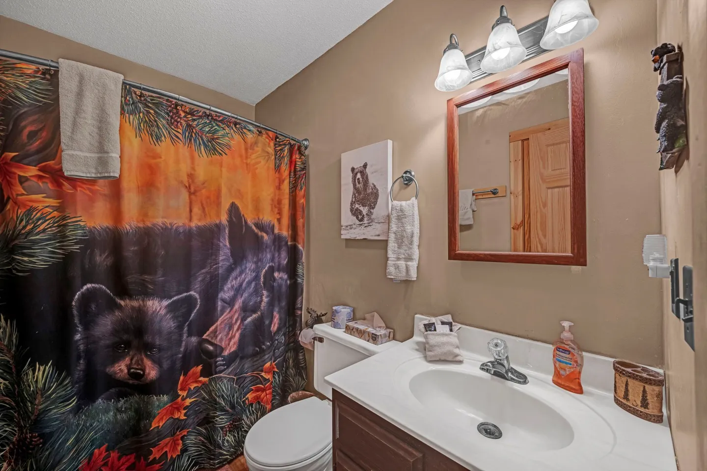 Home photo 15