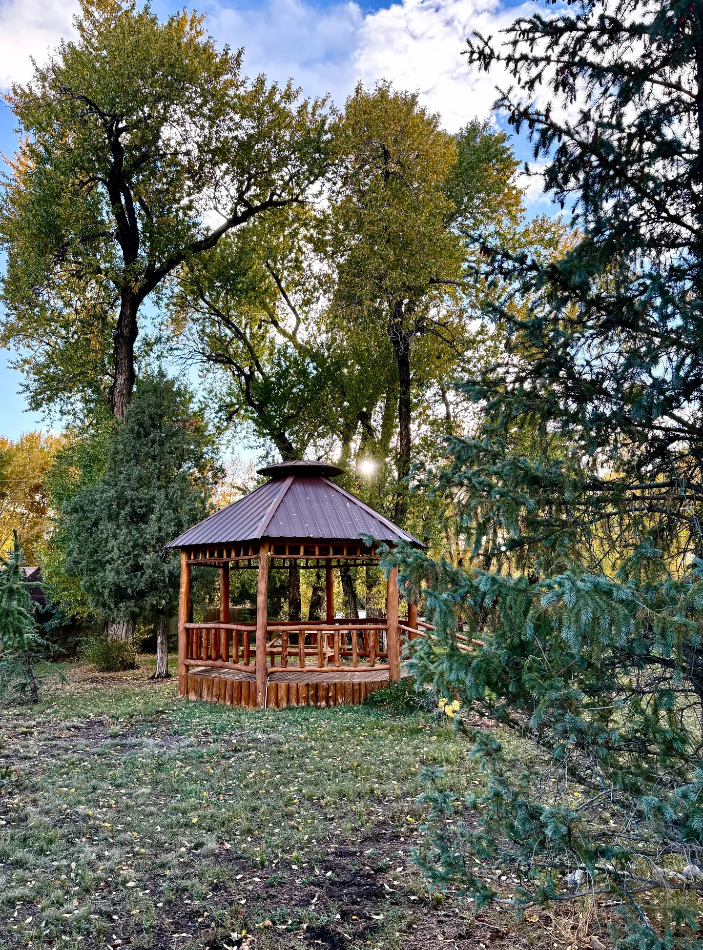 A wooden gazebo nestled in a grassy yard surrounded by tall mature trees under a blue sky.