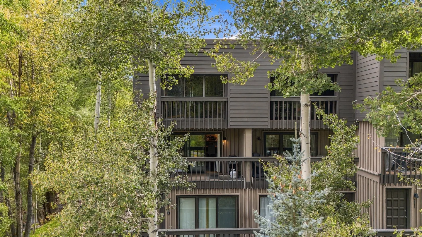 Exterior view of a multi-story wood-sided building framed by birch or aspen trees against a blue sky.