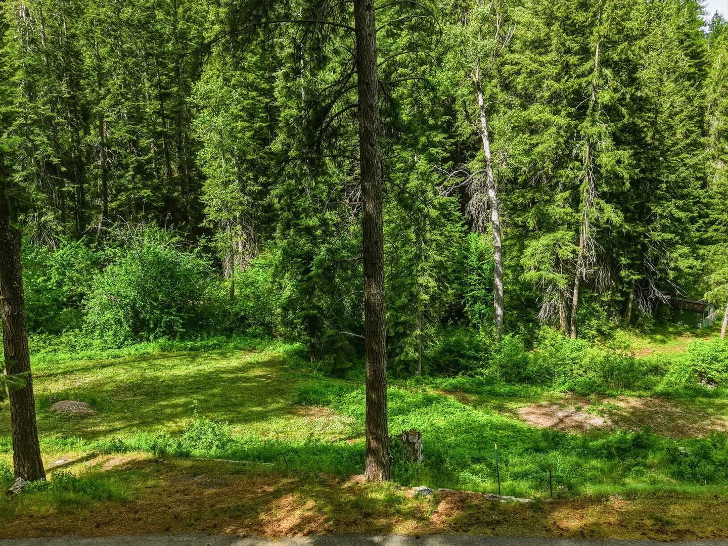 Home photo 78