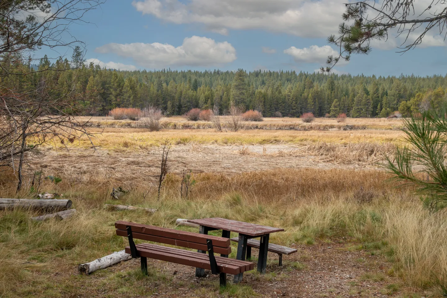 A wooden park bench and picnic table overlooking an expansive meadow bordered by evergreen forests under a partly cloudy sky.